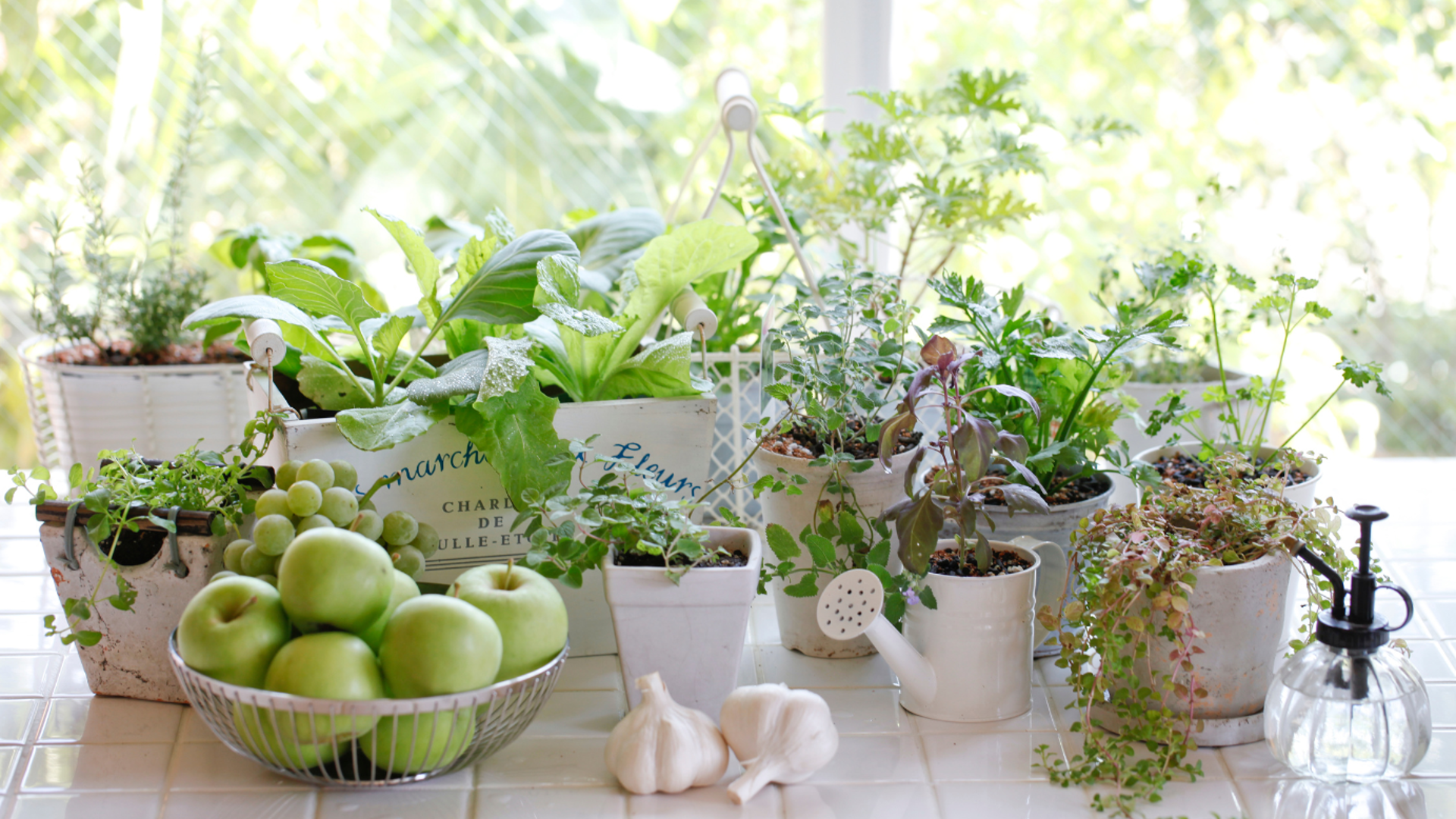 Moestuintje binnen