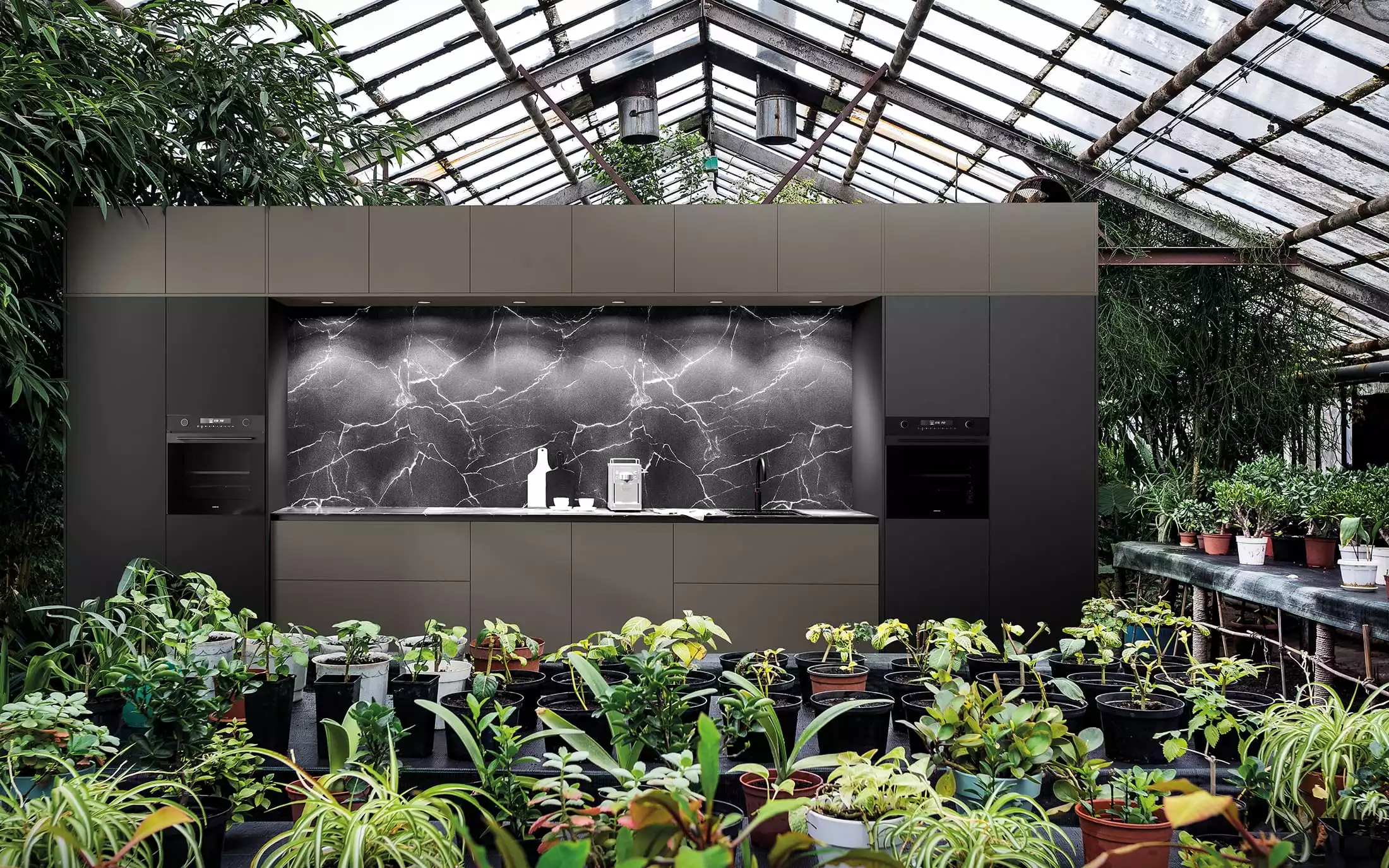 Csm 12 Zerox Hpl Lava Zerox Hpl Xt Black Header 2200 1375 9059C26f9b